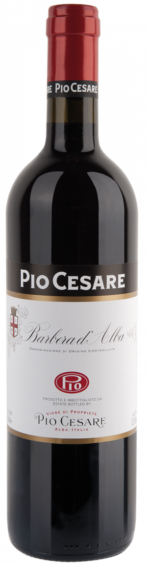 Pio Cesare Barbera d’Alba DOC 2019