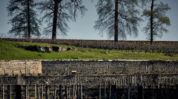 Winemaking