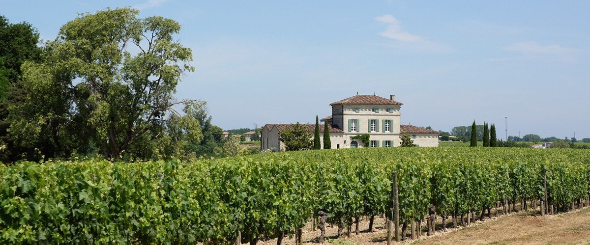 Château Hosanna estate