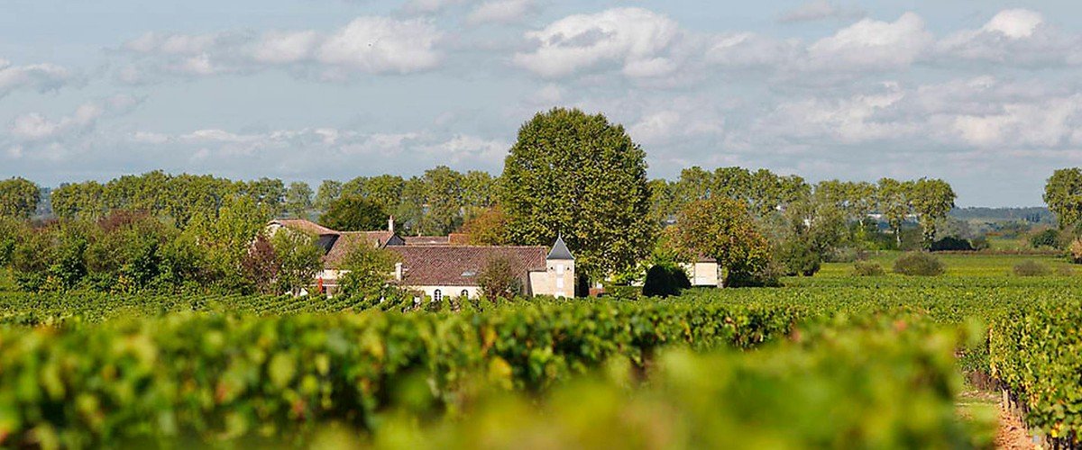 Château Bourgneuf Estate and Vineyards