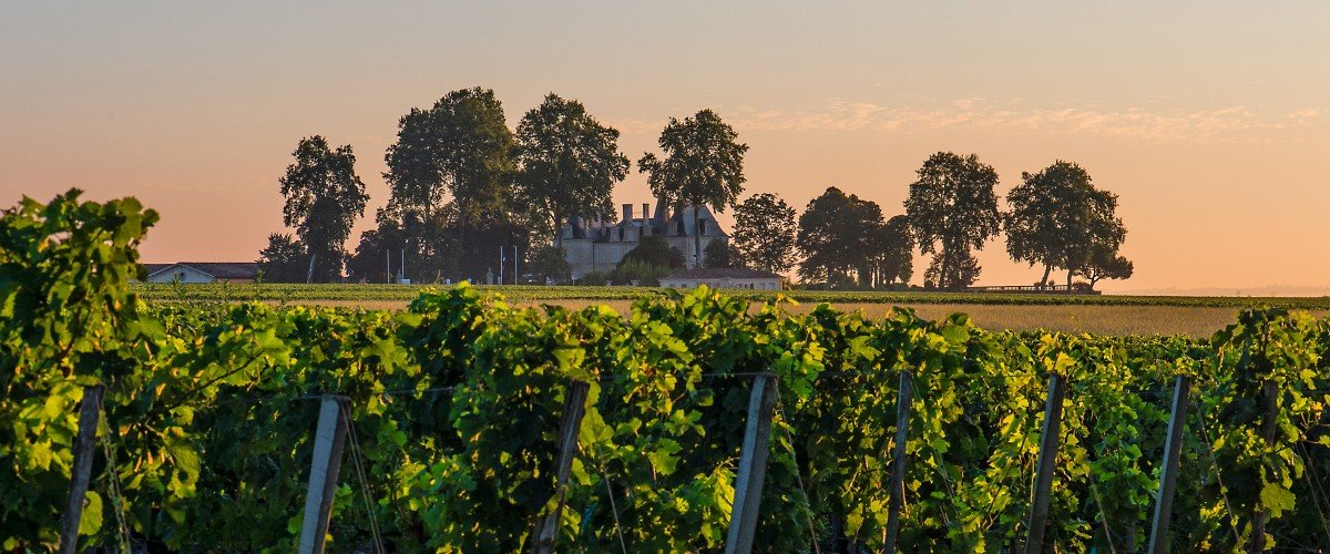 Château Pichon and its vineyards