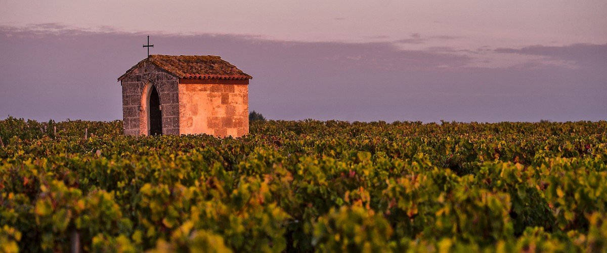 Château Pichon Comtesse at dusk