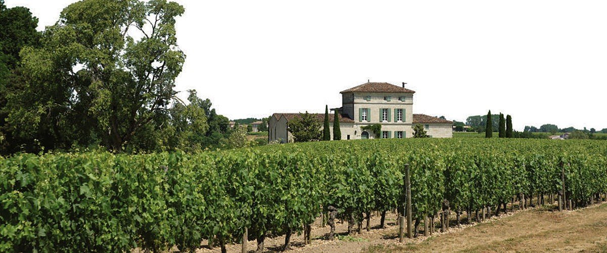 Château Puy-Blanquet estate and vineyards