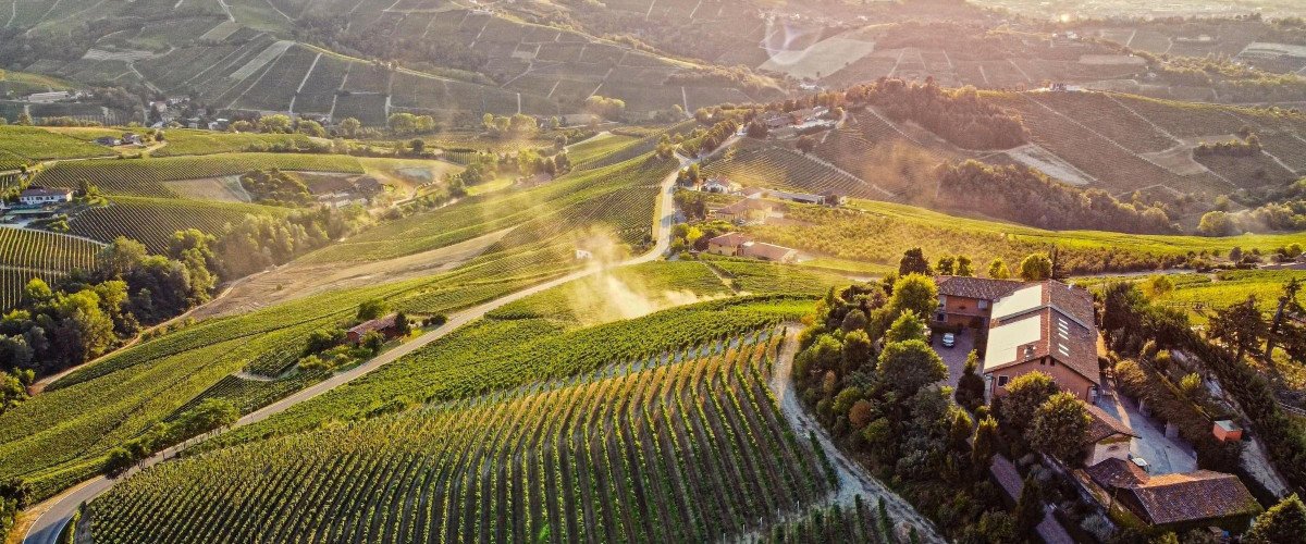 Pio Cesare Il Bricco estate overlooking the hills of Barbaresco