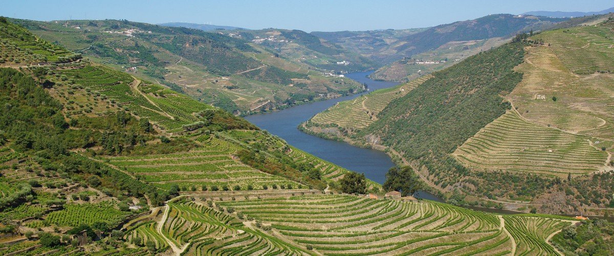 The Douro Valley