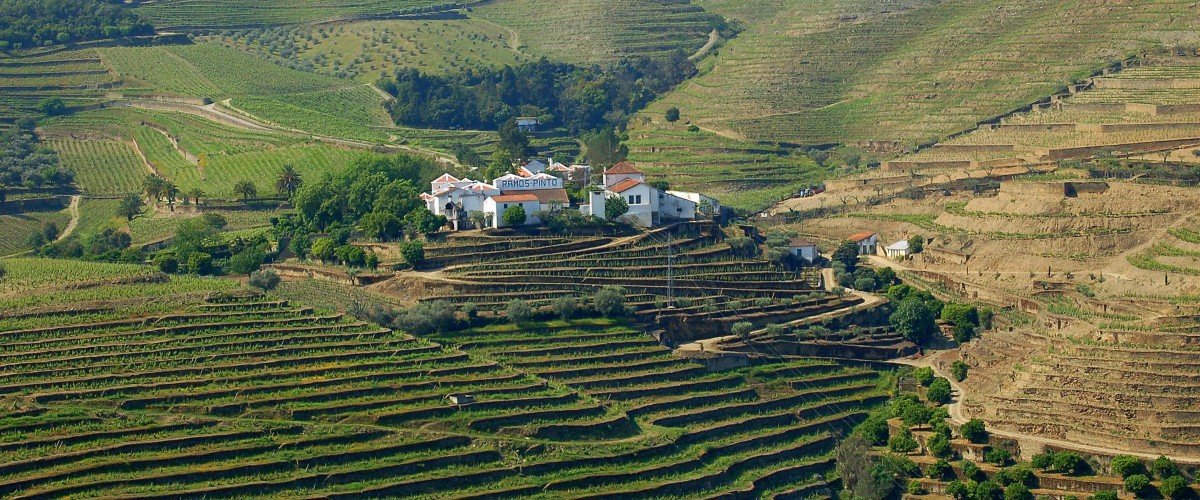 Quinta do Bom Retiro