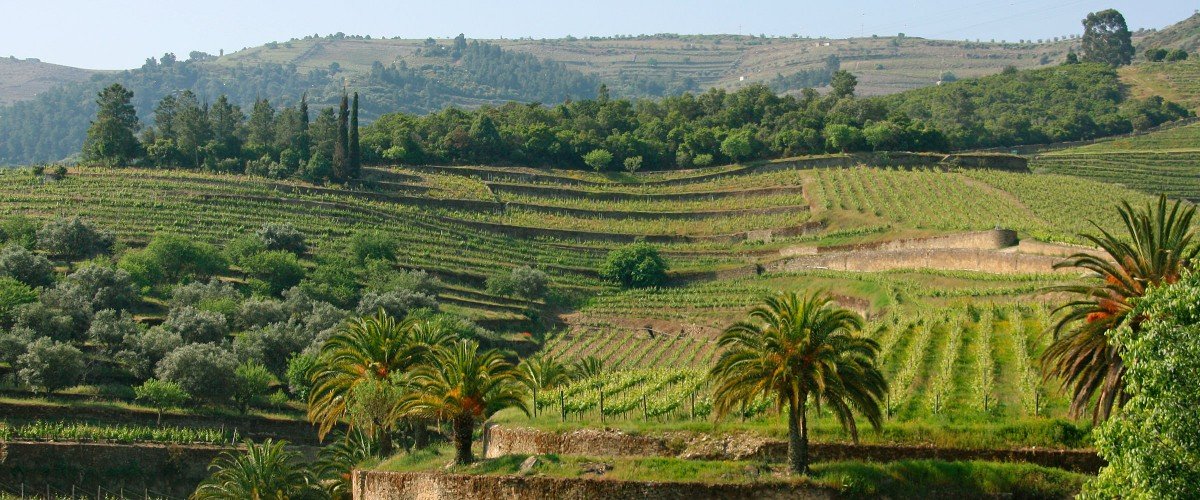 Ramos Pinto Quinta do Bom Retiro