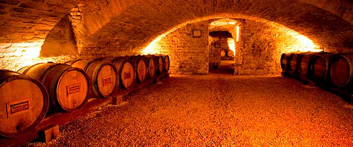 Régnard cellar