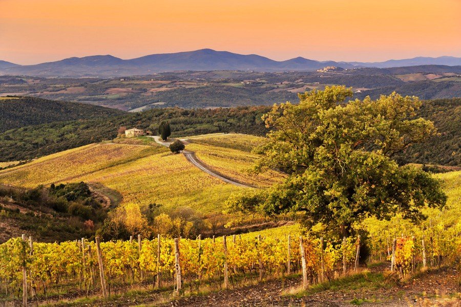 View from Castiglion del Bosco hilltop