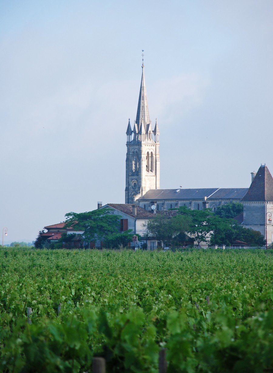 Château Certan de May vineyards