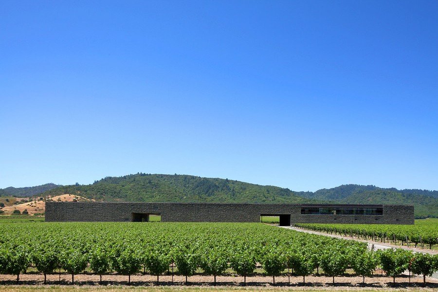 Dominus Estate and vineyards