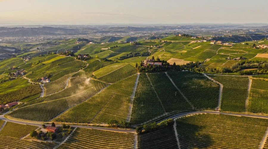 Pio Cesare Il Bricco estate in Barbaresco